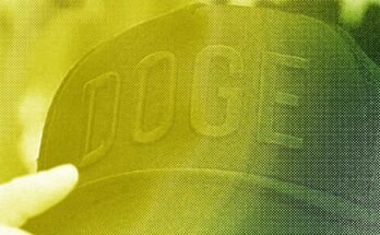 Desempacar nuestra conversación con un ex miembro del personal de Doge