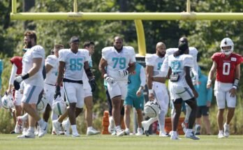 Uno de los jugadores más importantes en los Dolphins obtiene una sólida aprobación del coordinador ofensivo de Miami antes de la temporada 2025