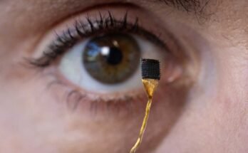 La investigadora postdoctoral Erin Kunz posee una red de microelectrodos que se pueden colocar en la superficie del cerebro como parte de una interfaz cerebral.